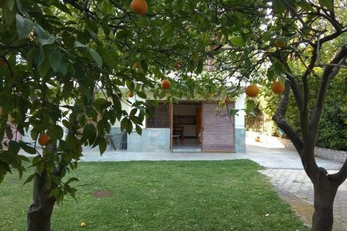 Electra Apartment In Epidaurus
