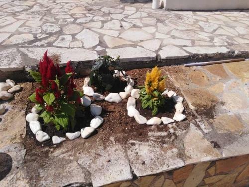 Apartamento Treasures B&B