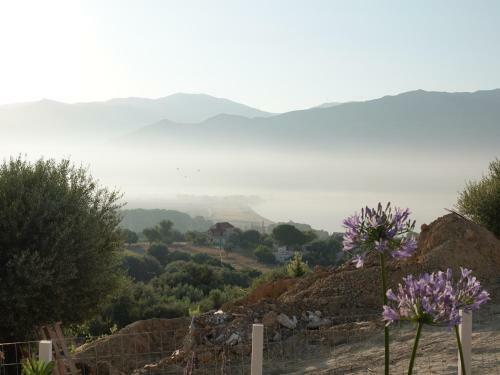 Villa Oryx