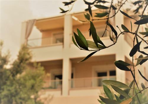 Apartamento Q Luxury Rooms Paleros