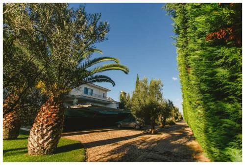 Villa Larisa