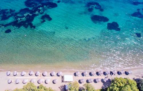 Ekos Villa - Paliouri