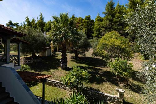 Casa Villa, Xenia Paliouri
