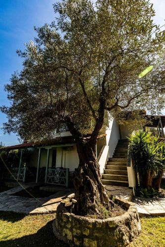 Casa Villa, Xenia Paliouri
