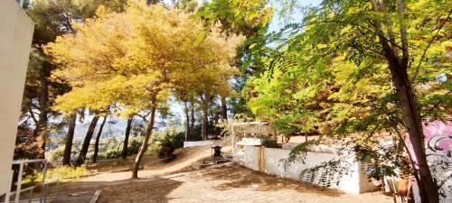 Villa Philip's Guest House!