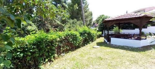 Filio Rooms