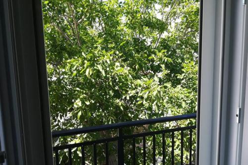 Alma Libre Luxury Apartment 3