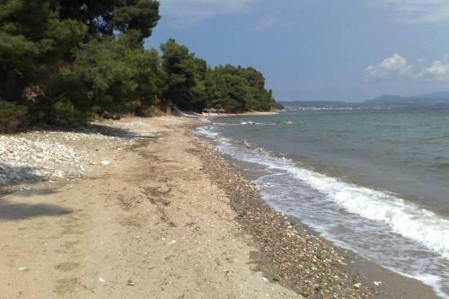 Holiday House, Near The Beach