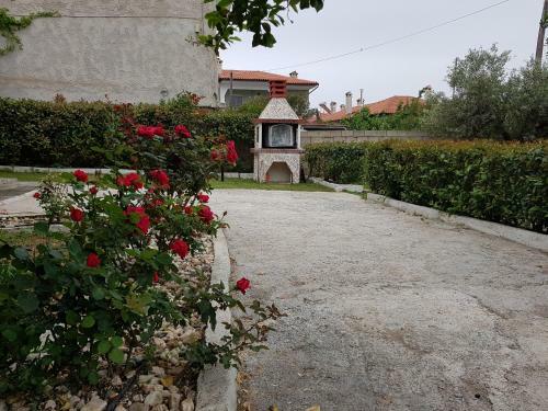 Elina House