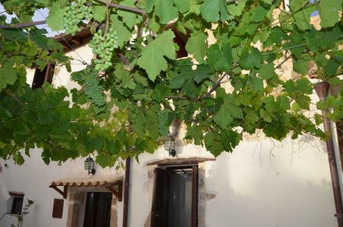 Villa Hidden Gem Crete