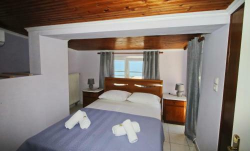 Villa Coral Suite