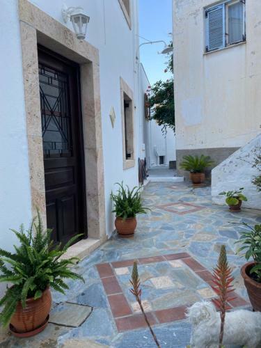 Petridi Maria Suites & Apartments