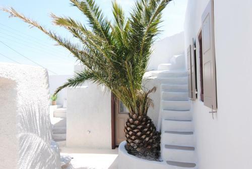 Hostal White Grape Suites