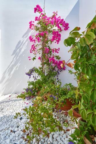 Apartamento Casa Mardiva Rocca