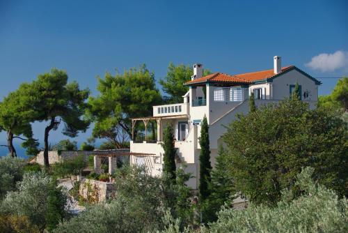Villa Flora .the Whole Villa.