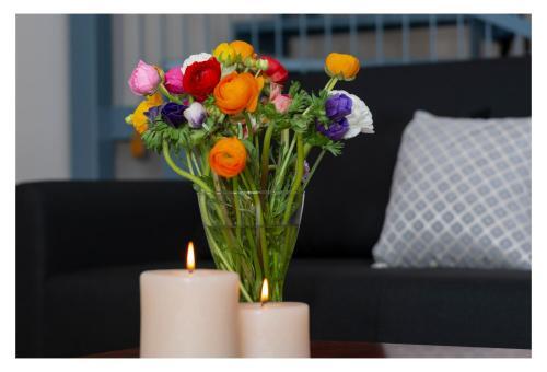 Apartamento Sealoft
