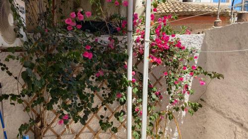 Patras Port Apartment