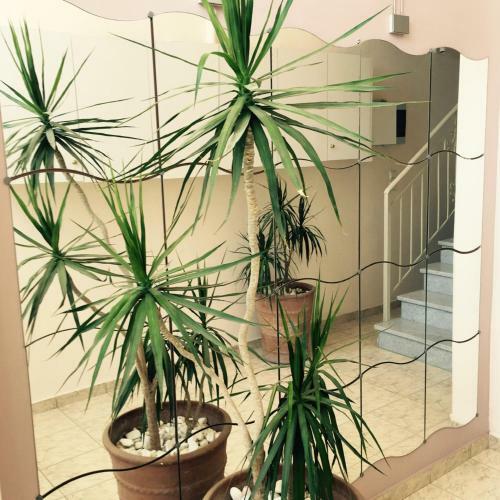 Lovely Apartments Del