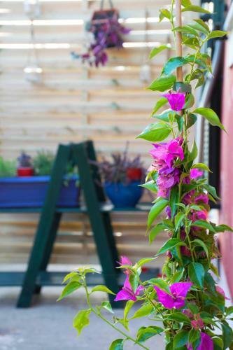 Apartamento The Red House - Pelekas, Corfu