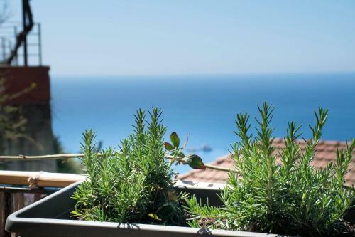 Apartamento The Red House - Pelekas, Corfu
