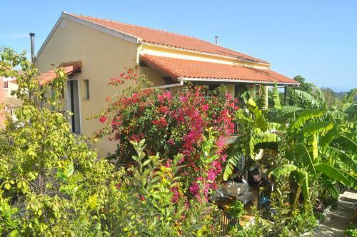 Apartamento Pension Telis Und Brigitte 1