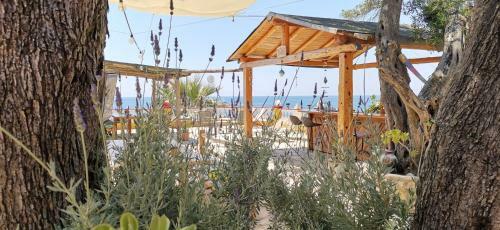 Pelekas Beach Apartments