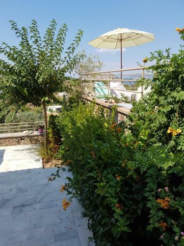 Aegina Sea View Villas