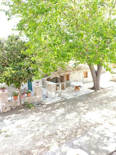 Villa Violla