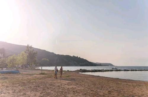 Villa Violla
