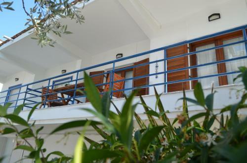 Blue Maison