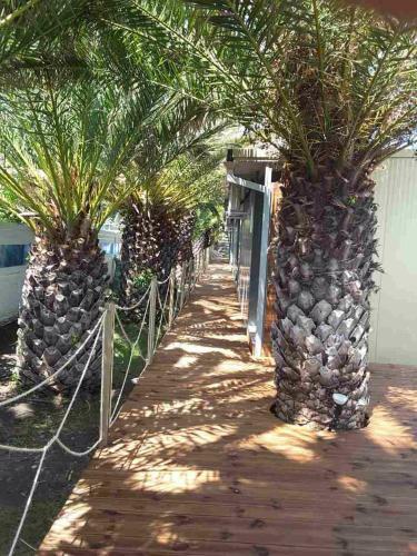 Hotel Thalassa Boutique Apartments