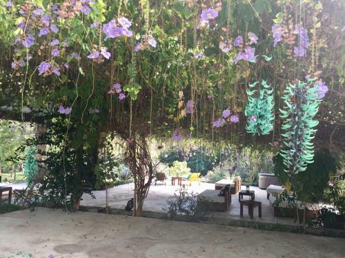 Los Naranjos Hotel Boutique