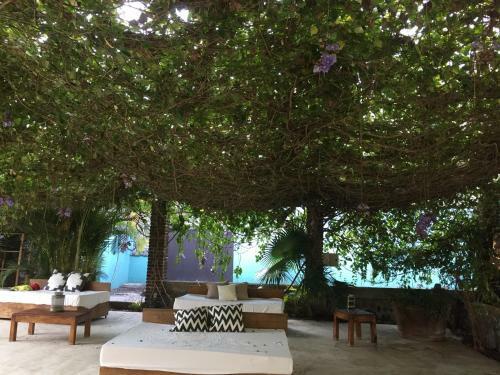 Los Naranjos Hotel Boutique