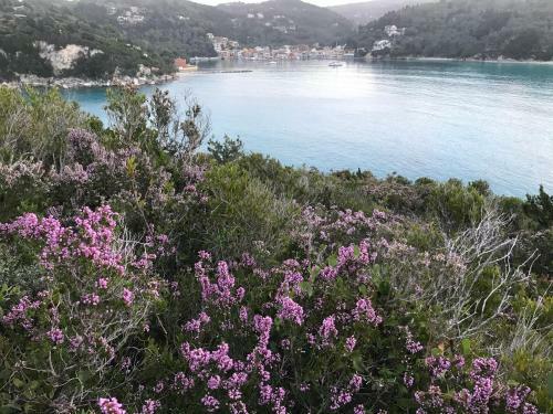 Apartamento Lakka Stone House 1