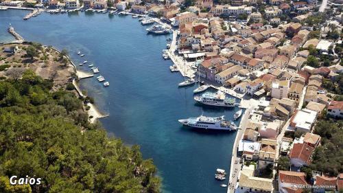 Santa Maria
