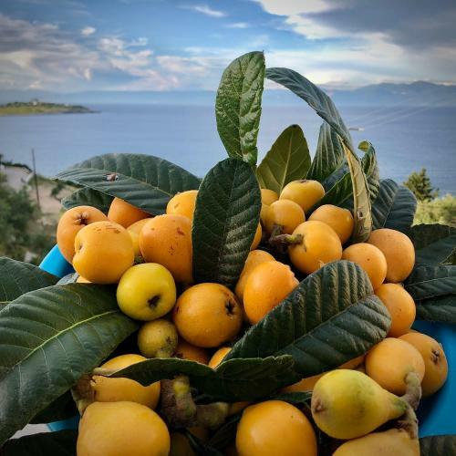 Apartamento Villa Avgerini Paxos