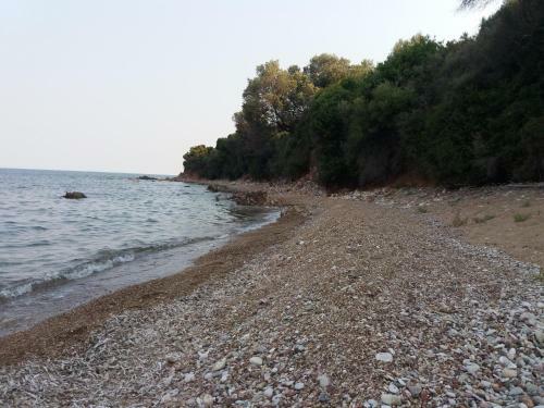 Nereids Apartments-erato