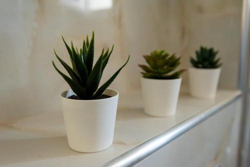 Apartamento Olive 101