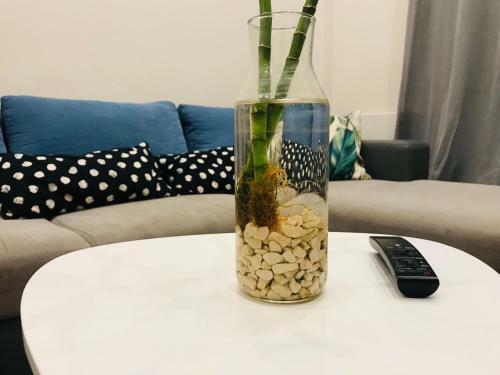 Sea Stars 1 Apartment