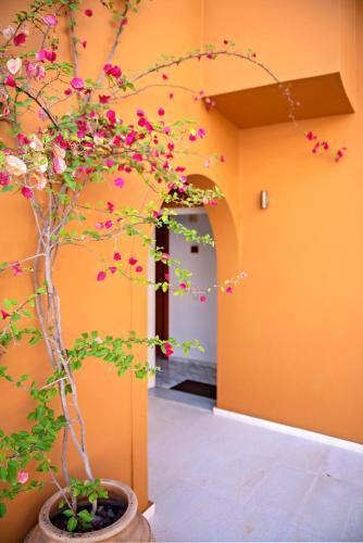 Apartamento Astra