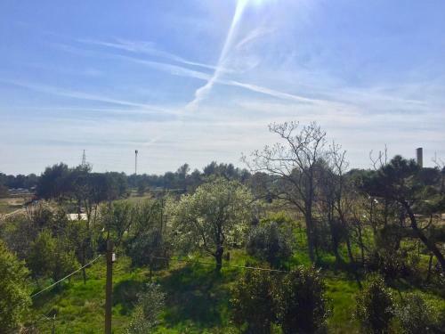 Hostal Sobe Bosiljka