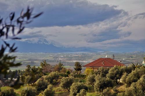 Bed & Breakfast Residenza Perla Verde