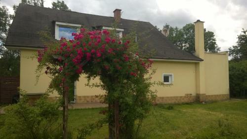 Apartament Tola