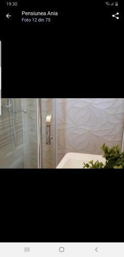 Hostal Pensiunea Ania