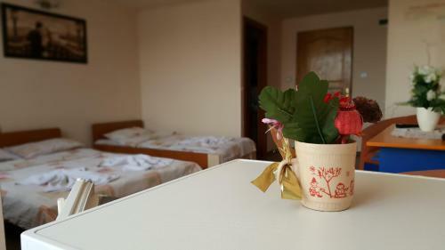 Hostal Vila Tei Guesthouse