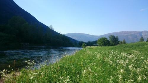 Naustvoll