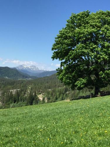 L�ngdal