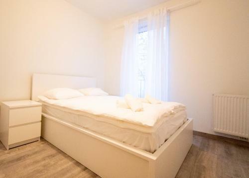 Apartament Alpha