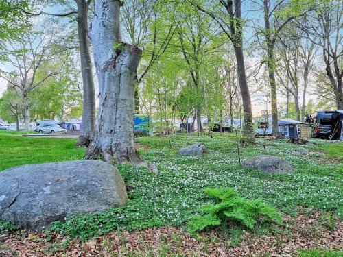 Holiday Home S�lvesborg XV