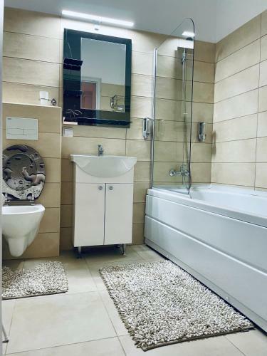 Silver Apartment Zarnesti